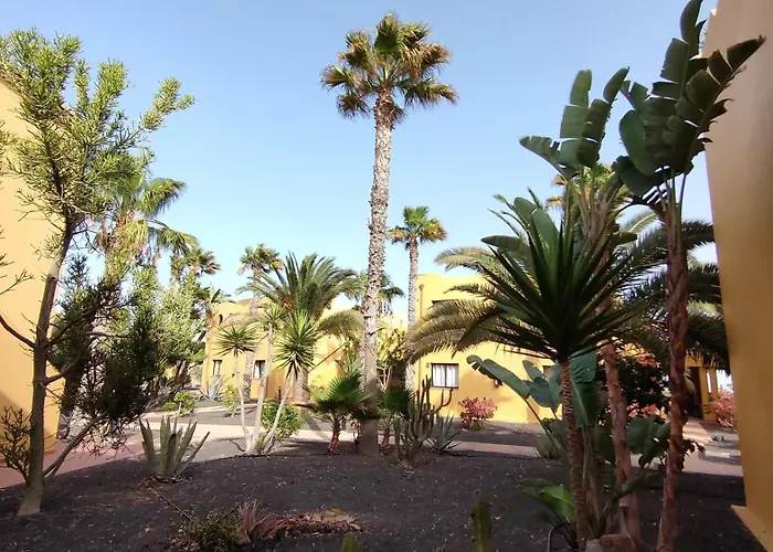 Daire Casa Margherita - 15b Oasis Tamarindo 1 Corralejo